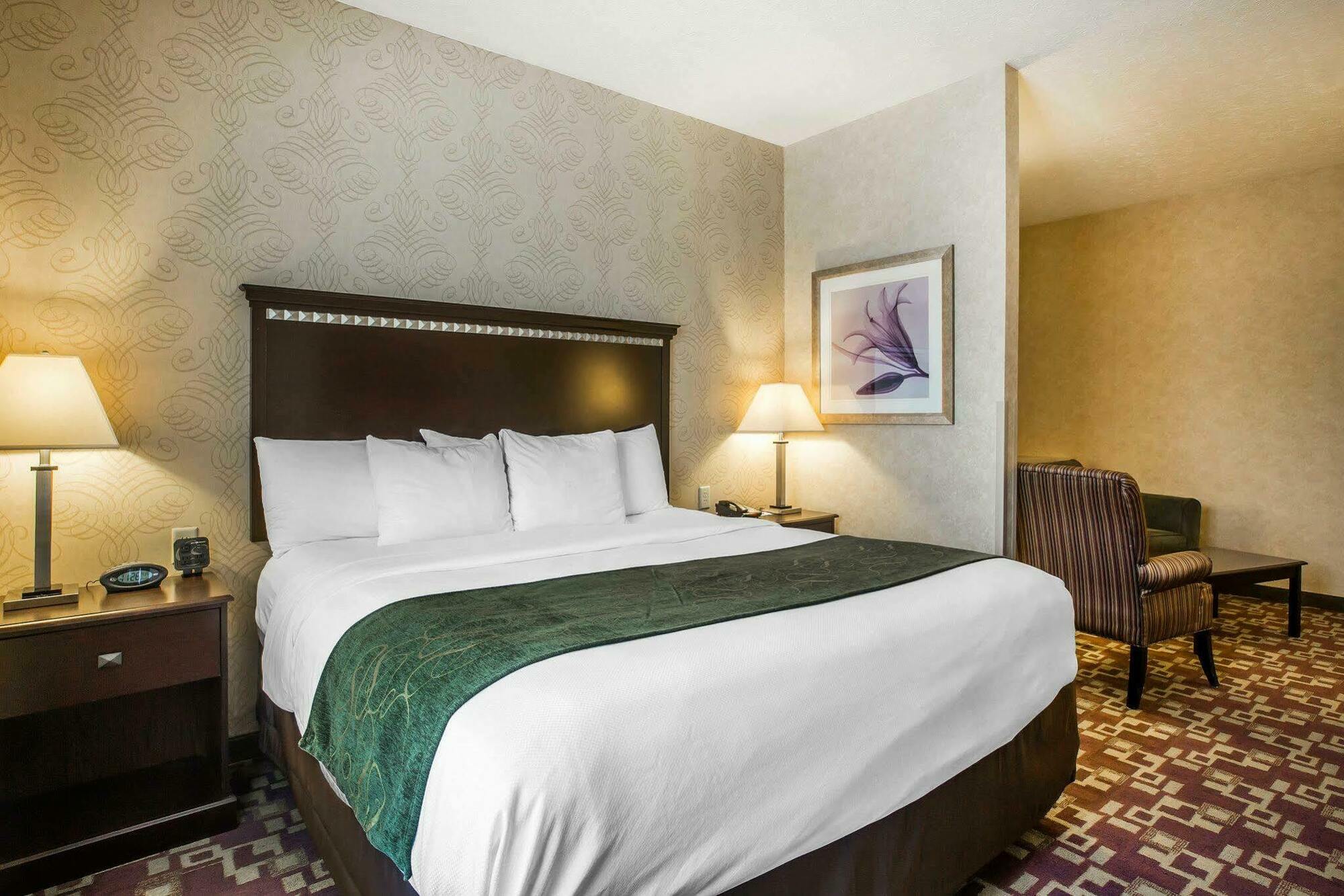 Comfort Suites Нэшвилл Экстерьер фото